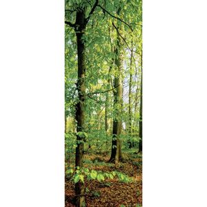 Euroart OBRAZ NA PLÁTNĚ, stromy, 30/80/3 cm obraz