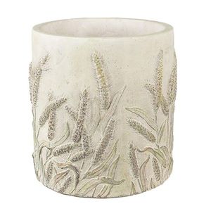 Cementový obal na květináč s jitrocelem Plantain S - Ø13*13 cm 6TE0461S obraz
