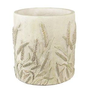 Cementový obal na květináč s jitrocelem Plantain L - Ø21*21 cm 6TE0461L obraz