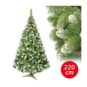 Vánoční stromek 220 cm borovice obraz