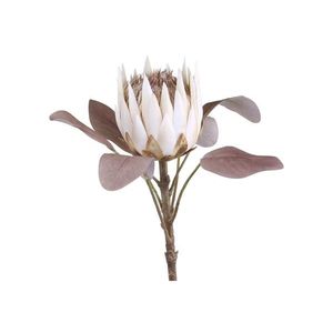 Dekorace umělá krémová květina Protea cream - 66 cm 39039719 (39397-19) obraz
