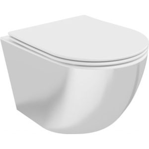 MEXEN Lena Závěsná WC mísa včetně sedátka s slow-slim, duroplast, bílá/stříbrná 30224004 obraz