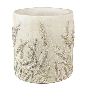 Cementový obal na květináč s jitrocelem Plantain M - Ø 17*17 cm 6TE0461M obraz