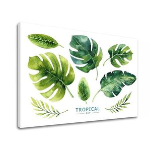 Obraz na zeď s textem Tropical set (moderní obrazy s textem) obraz