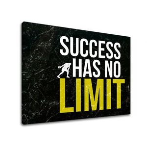 Motivační obraz na zeď o úspěchu_009 (obrazy s textem) obraz