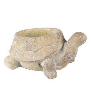 Béžový cementový květináč želva Turtle - 22*16*10 cm 6TE0458 obraz
