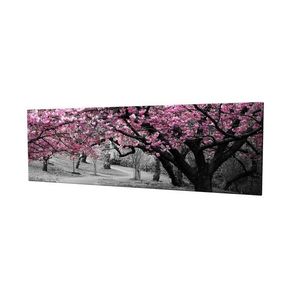 Wallity Obraz na plátně Cherry tree alley PC017 30x80 cm obraz