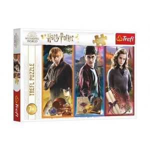 Puzzle Ve světě magie a čarodějnictví/Harry Potter 200 dílků 48x34cm v krabici 33x23x4cm obraz