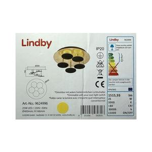Lindby Lindby - LED Stmívatelné stropní svítidlo CASNI 5xLED/5W/230V obraz