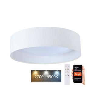 LED Stmívatelné svítidlo SMART GALAXY LED/24W/230V pr. 45 cm Wi-Fi Tuya + DO obraz