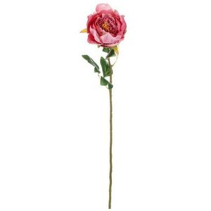 Umělá květina Pivoňka růžová, 11 x 70 x 11 cm obraz