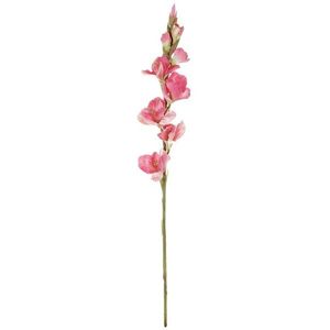 Umělá květina Gladiola růžová, 10 x 85 x 10 cm obraz