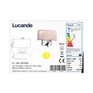 Lucande Lucande - LED Nástěnná lampa VIRVE 1XLED/13, 4W/230V + 1xLED/3, 4W/230V obraz