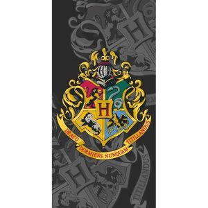 Jerry Fabrics Osuška Harry Potter, 70 x 140 cm obraz