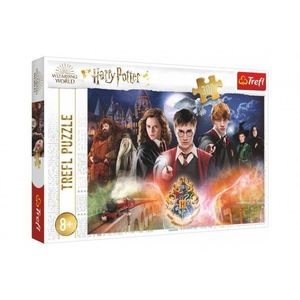 Puzzle Tajemství Harry Potter 300dílků 60x40cm v krabici 40x27x4cm obraz