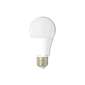 LED žárovka -E27- 10W denní bílá obraz