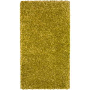 Zelený koberec Universal Aqua Liso, 160 x 230 cm obraz
