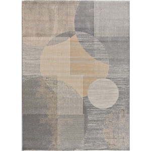 Šedo-béžový koberec 80x150 cm Edel – Universal obraz
