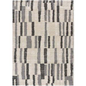Šedo-krémový koberec 80x150 cm Enya – Universal obraz