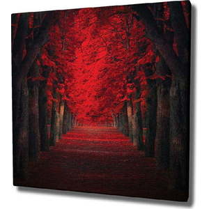 Nástěnný obraz na plátně Red Trees, 45 x 45 cm obraz