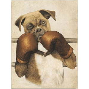 Nástěnný obraz na plátně Boxer, 30 x 40 cm obraz