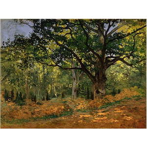 Reprodukce obrazu Claude Monet - The Bodmer Oak, Fontainebleau Forest, 70 x 50 cm obraz