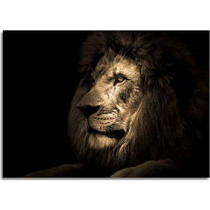 Skleněný obraz 100x70 cm Lion - Styler obraz
