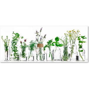 Obraz Styler Glasspik Herbs, 30 x 80 cm obraz