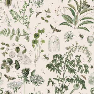 Tapeta z netkané textilie 100 cm x 280 cm Green Botanical Stories – Dekornik obraz