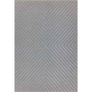 Světle šedý koberec Asiatic Carpets Antibes, 120 x 170 cm obraz