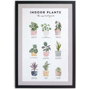 Nástěnný obraz v rámu Really Nice Things Indoor Plants, 30 x 40 cm obraz