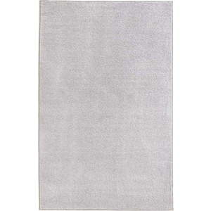 Světle šedý koberec Hanse Home Pure, 200 x 300 cm obraz