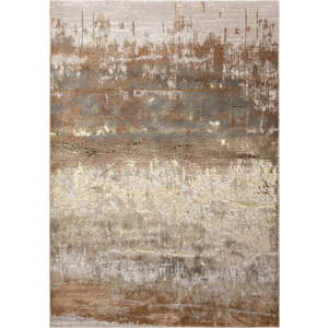 Koberec 230x160 cm Aurora - Asiatic Carpets obraz