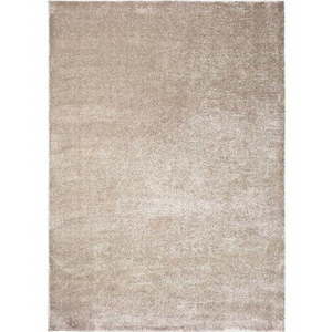 Šedo-béžový koberec 240x330 cm Montana Liso – Universal obraz