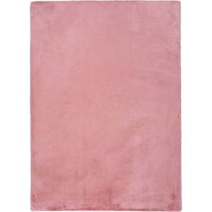 Růžový koberec Universal Fox Liso, 160 x 230 cm obraz