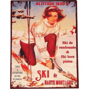Kovová cedule 25x33 cm Ski – Antic Line obraz