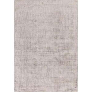 Šedý koberec 230x160 cm Aston - Asiatic Carpets obraz