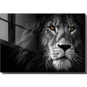 Skleněný obraz 70x50 cm Lion – Wallity obraz