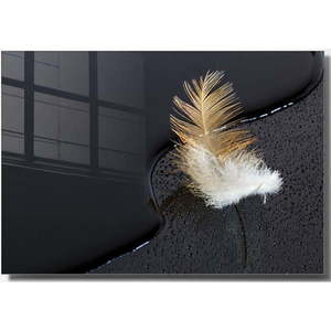 Skleněný obraz 100x70 cm Feather – Wallity obraz