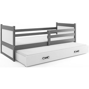BMS Dětská postel s přistýlkou RICO 2 | šedá 80 x 190 cm Barva: Bílá obraz