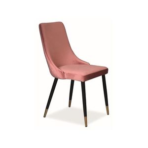 Signal Jídelní židle Piano Velvet Gold Barva: Růžová obraz