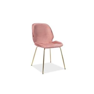 Signal Židle ADRIEN Velvet | zlaté nohy Barva: Bluvel 52 / růžová obraz