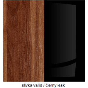 ArtCross TV stolek VERIN | 05 Barva: Švestka Vallis / černý lesk obraz