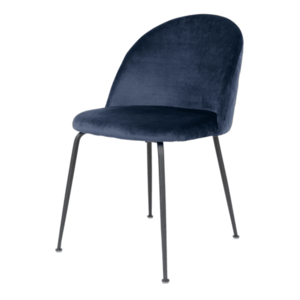 Jídelní židle GINUVI modrá/černá obraz