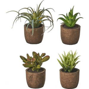 Umělé rostliny v sadě 4 ks (výška 10 cm) Cactus – Casa Selección obraz