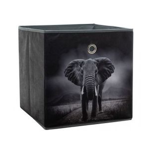 Úložný box Alfa, motiv slon v divočině obraz