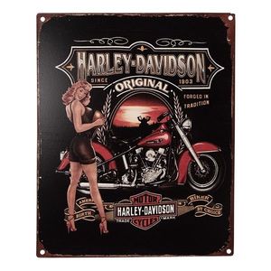 Černá nástěnná kovová cedule Harley Davidson - 20*1*25 cm 6Y5213 obraz