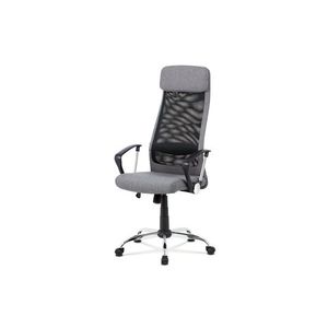 Kancelářská židle DISPAR, šedá/černá obraz