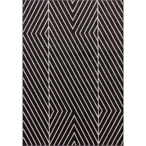 Černo-bílý koberec 120x170 cm Muse – Asiatic Carpets obraz