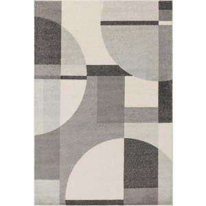 Šedý koberec 200x290 cm Muse – Asiatic Carpets obraz